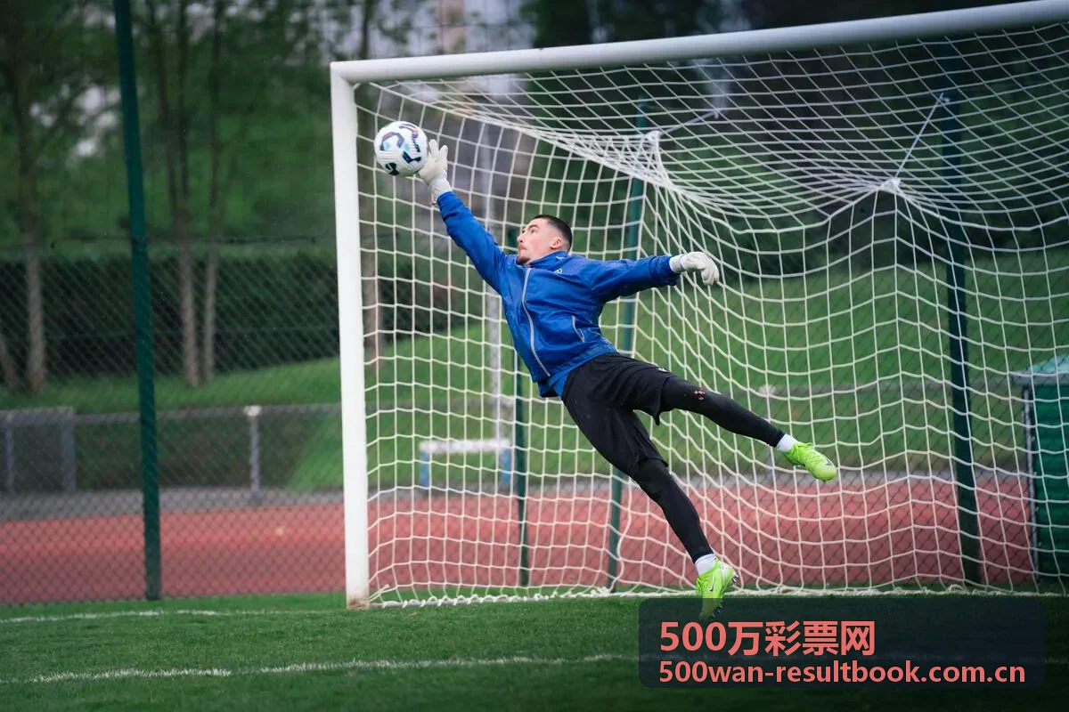 500万彩票网开奖号码速览数据卡
